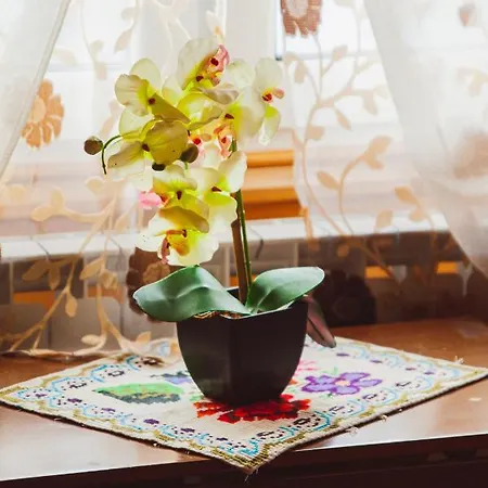 Traditia Borsanului Homestay
