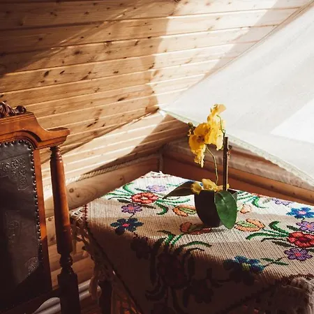 Homestay Traditia Borsanului Borsa (Maramures)