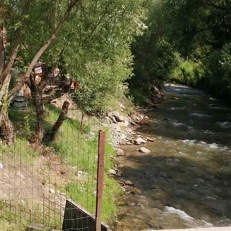 Tradiția Borsanului Gazde/Camere de închiriat