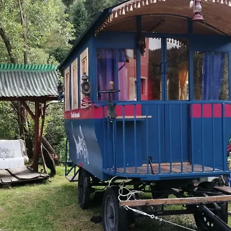 Traditia Borsanului *