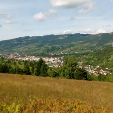 Traditia Borsanului Homestay