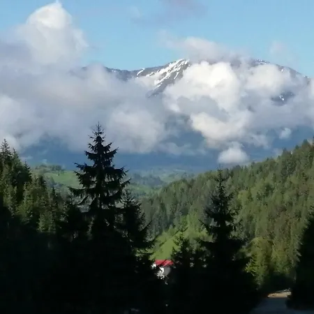 Tradiția Borsanului