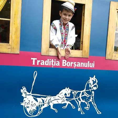 Traditia Borsanului *
